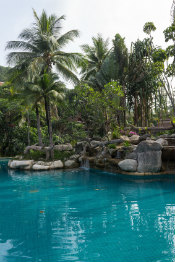 pool contractor katy tropical pool setting